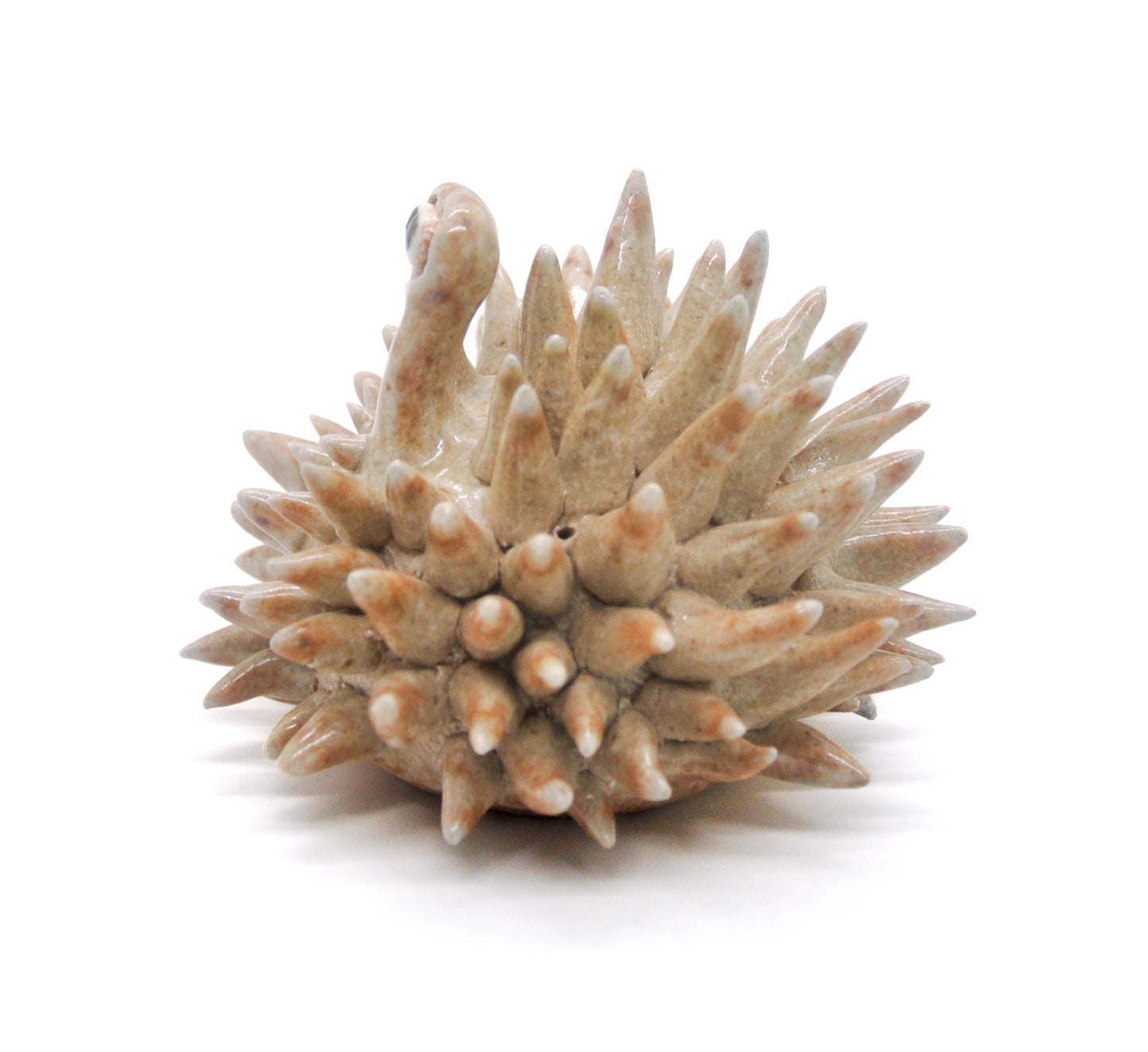 Salt Fired Small Urchin I