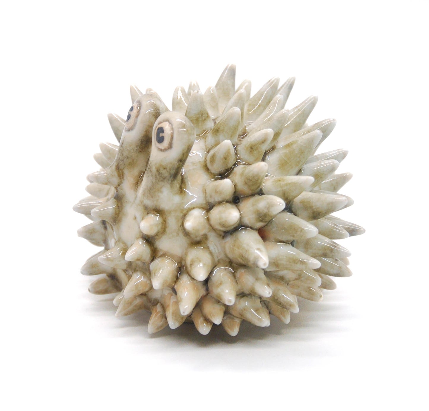 Glossy Shino Urchin I