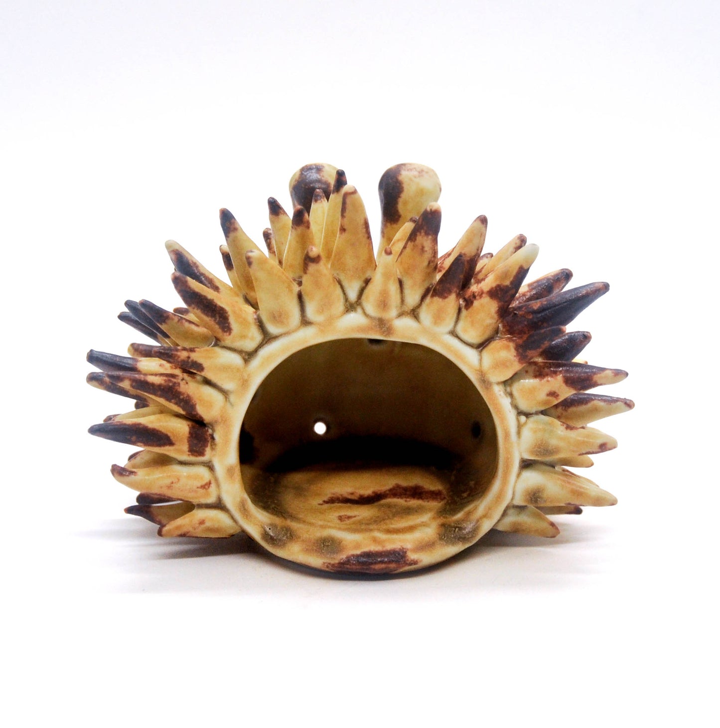 Desert Ember Urchin I Candleholder