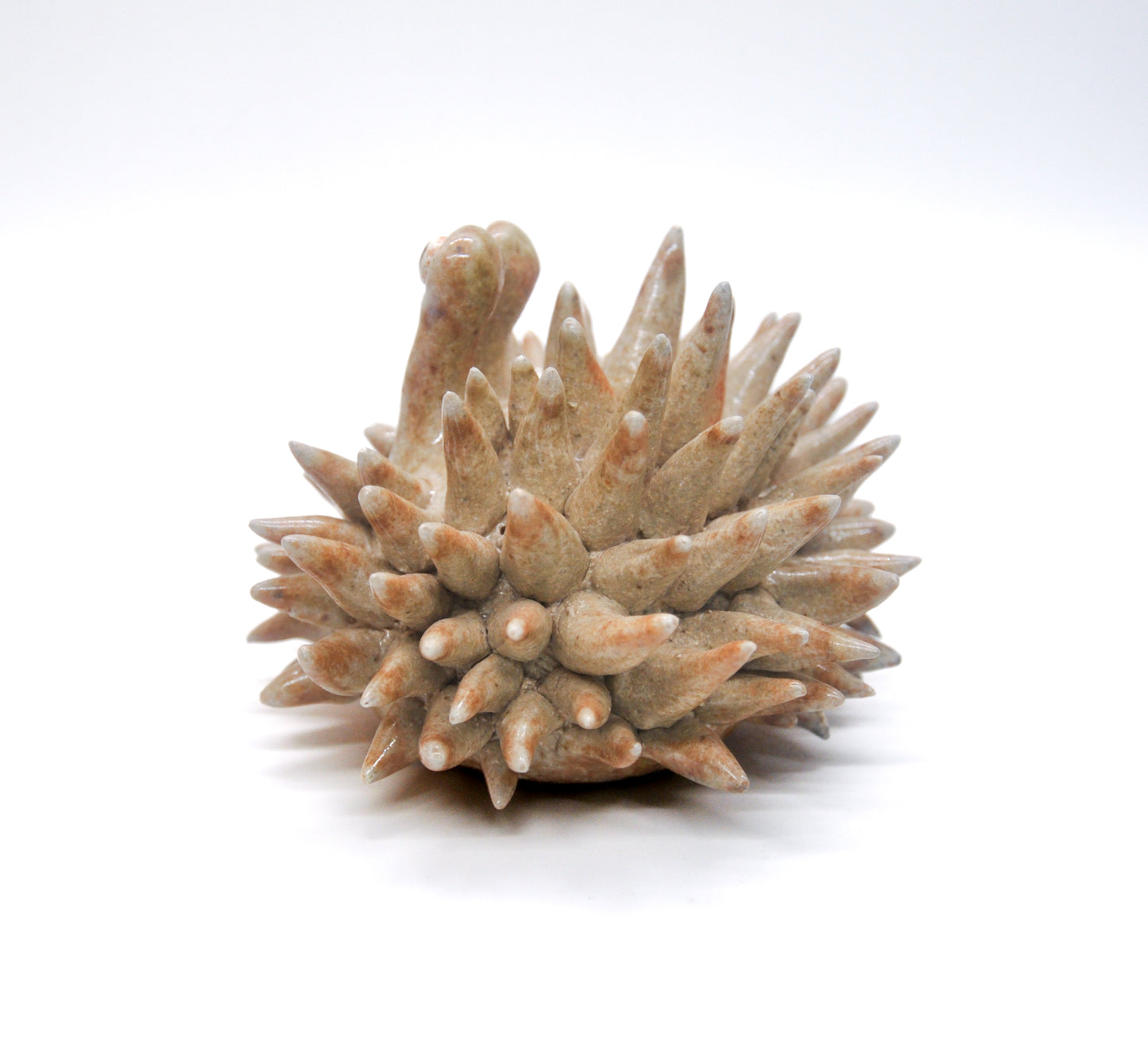 Salt Fired Small Urchin II