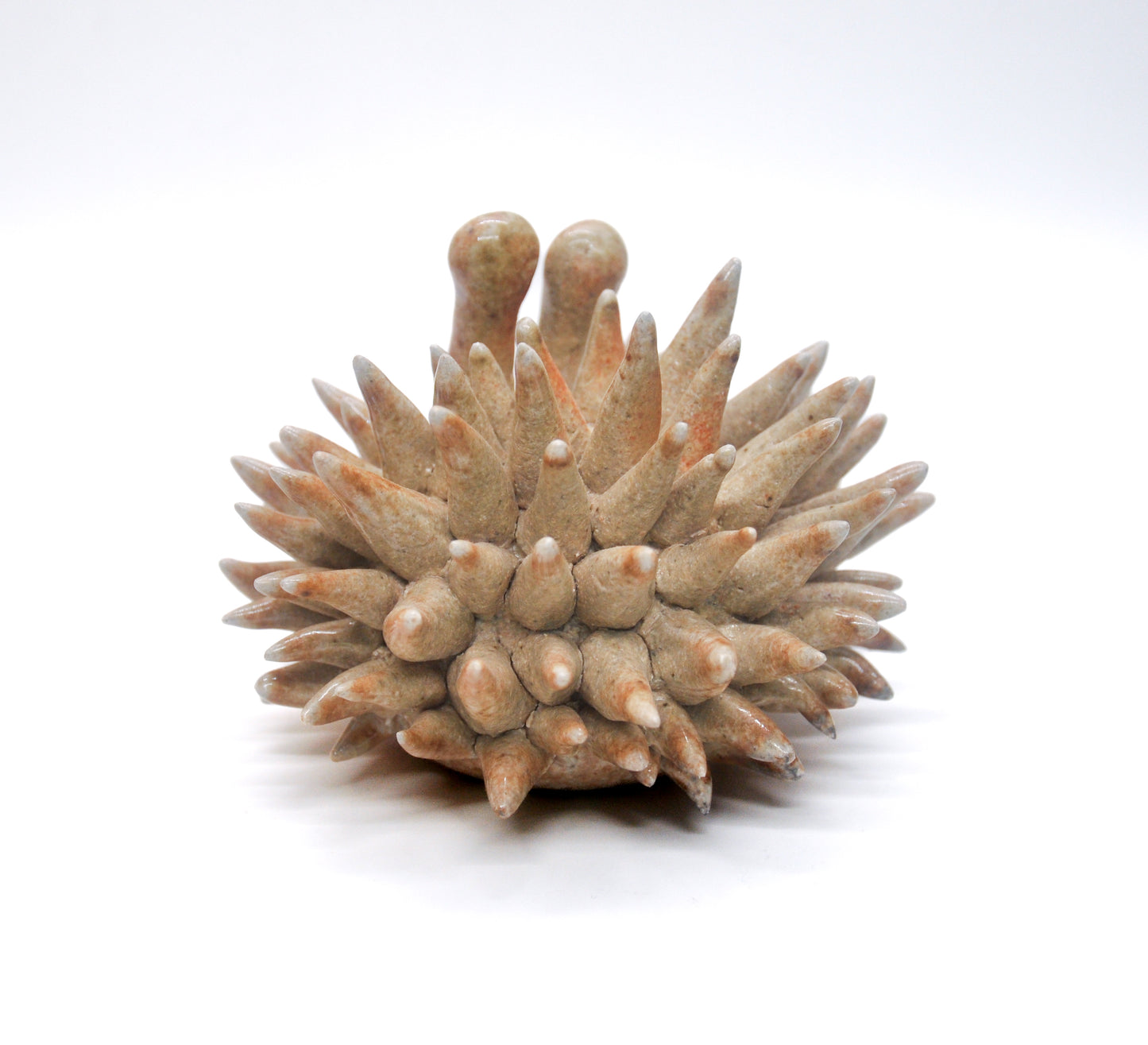 Salt Fired Small Urchin II