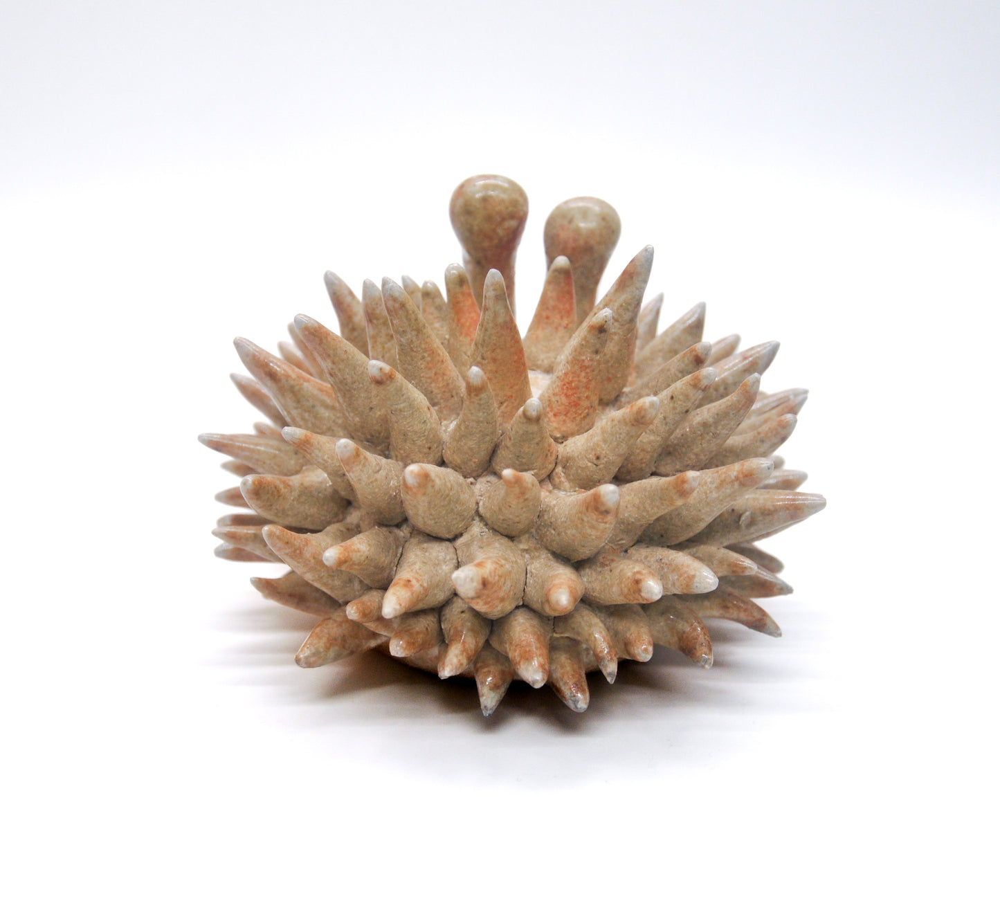 Salt Fired Small Urchin II