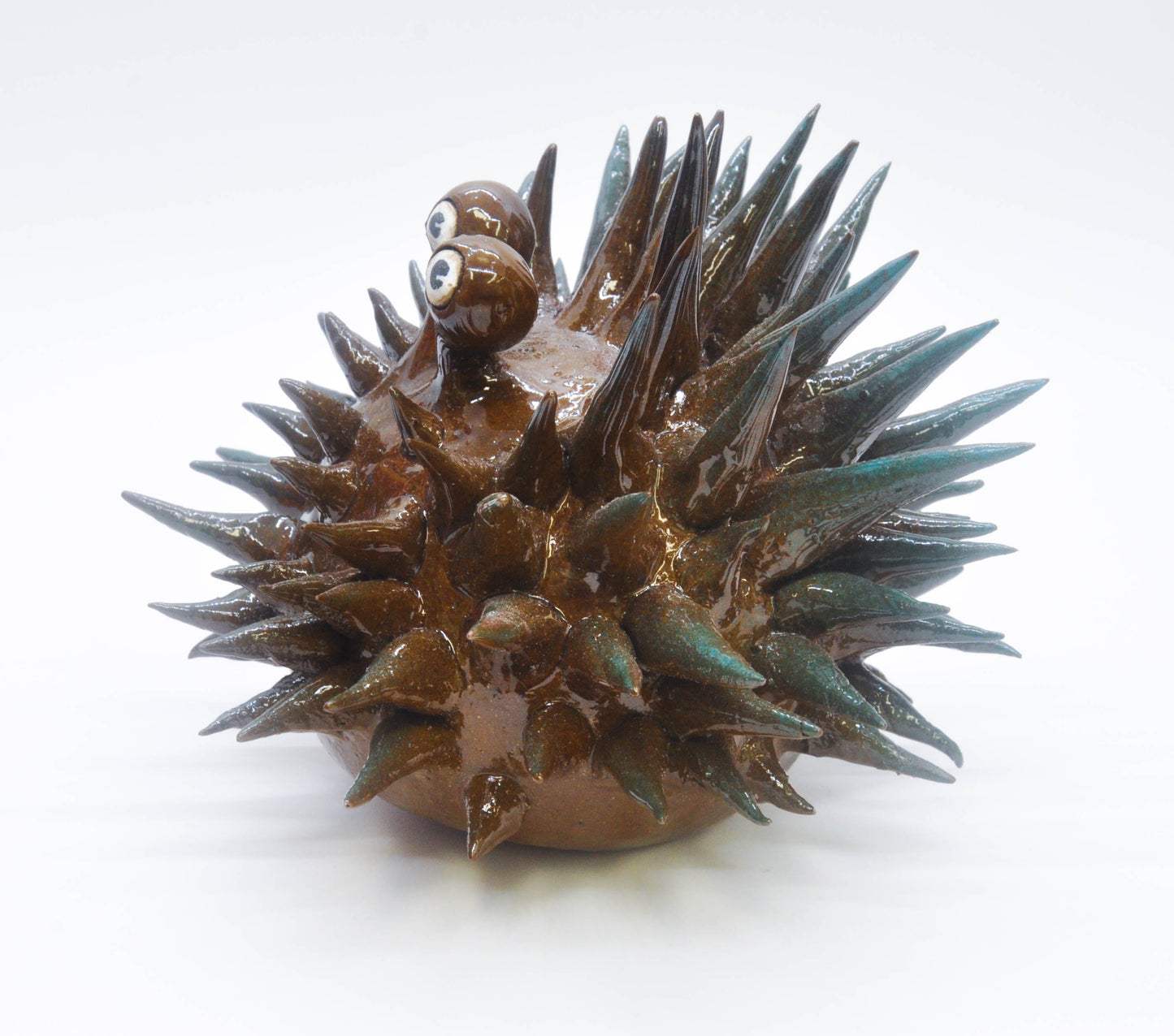 Dark Brown/Teal Urchin