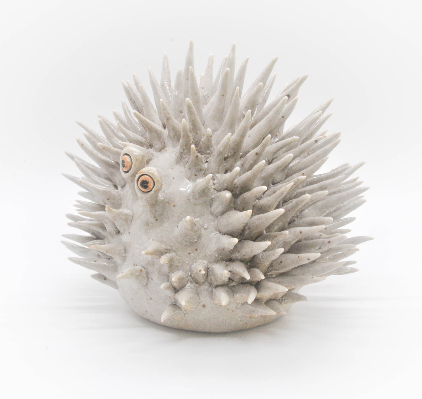 Ghostly Urchin