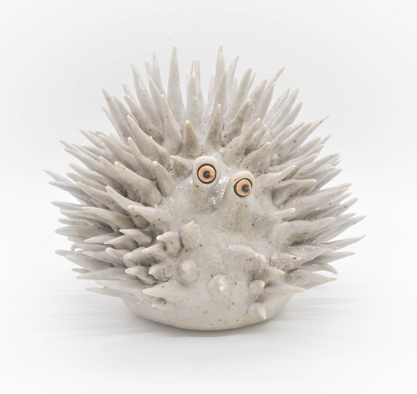 Ghostly Urchin